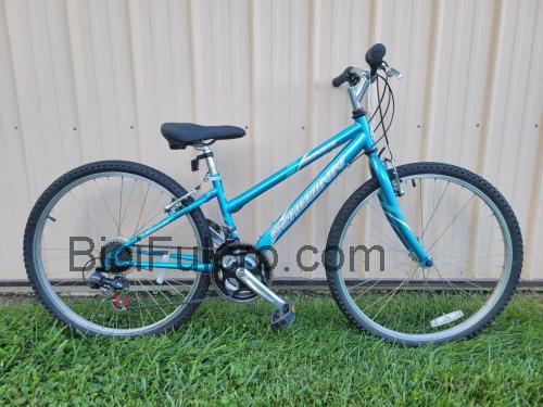 Schwinn Frontier scheda tecnica e recensioni